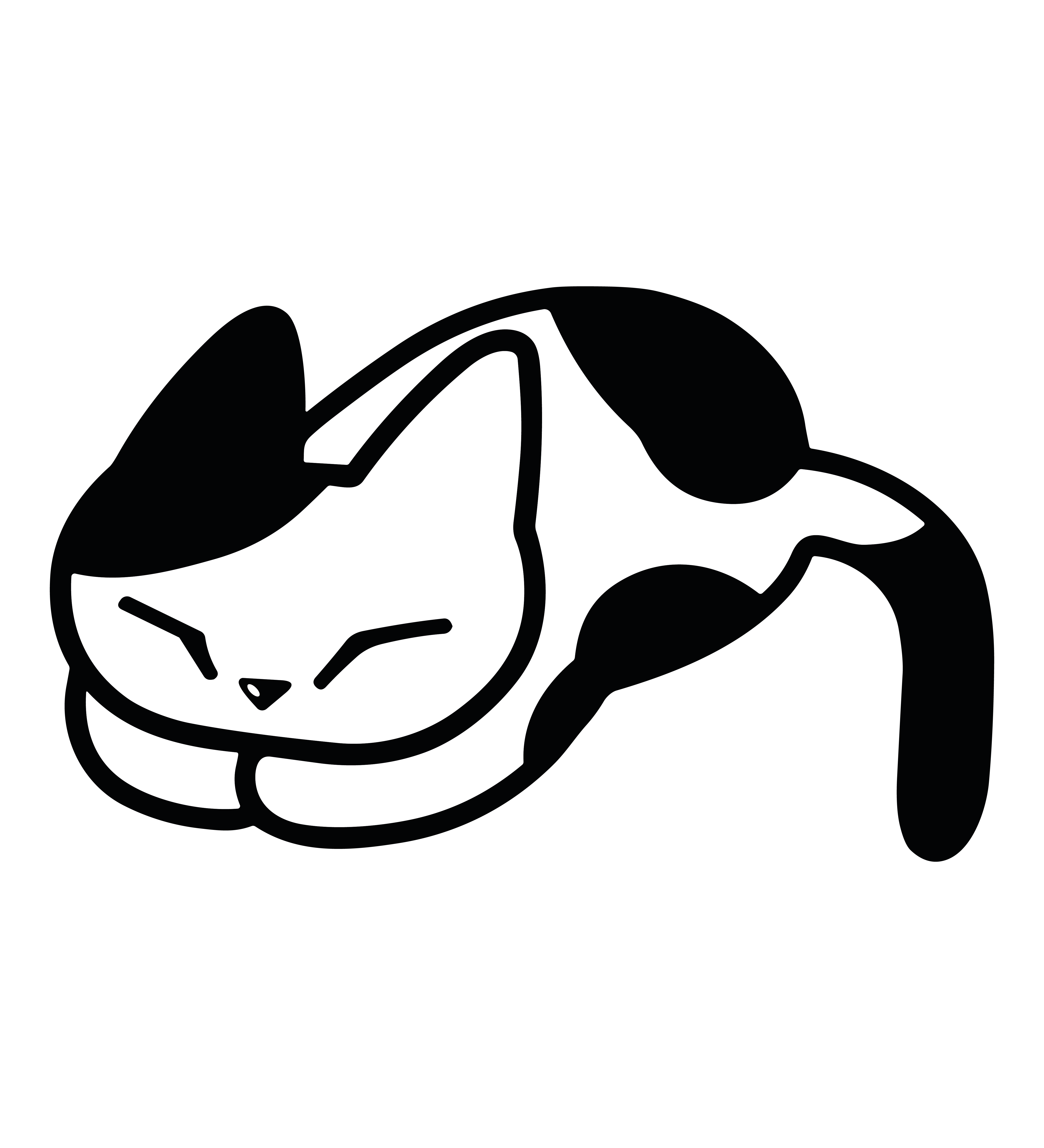 Sleeping Cat Vibes